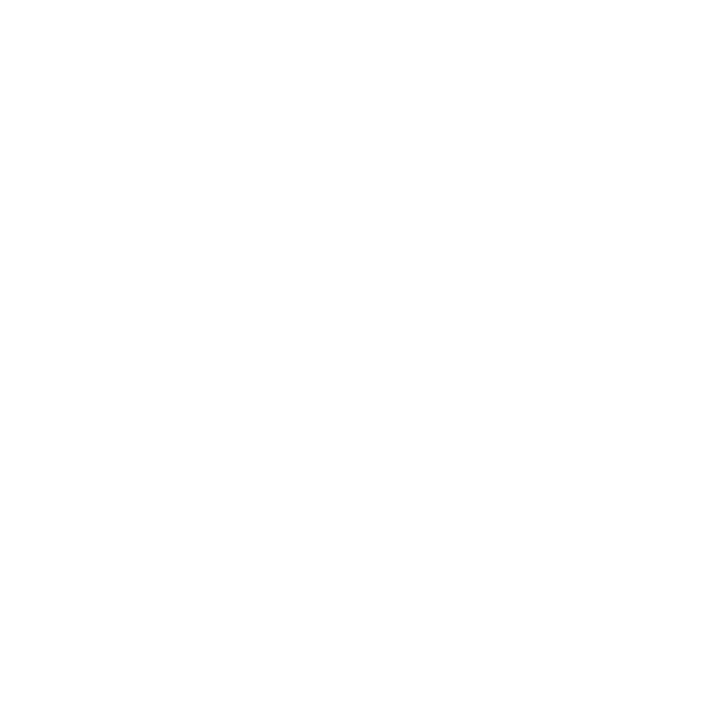 Rive Logo